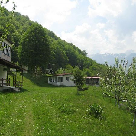 Bungalows Zdravets Berkovitsa Ngoại thất bức ảnh
