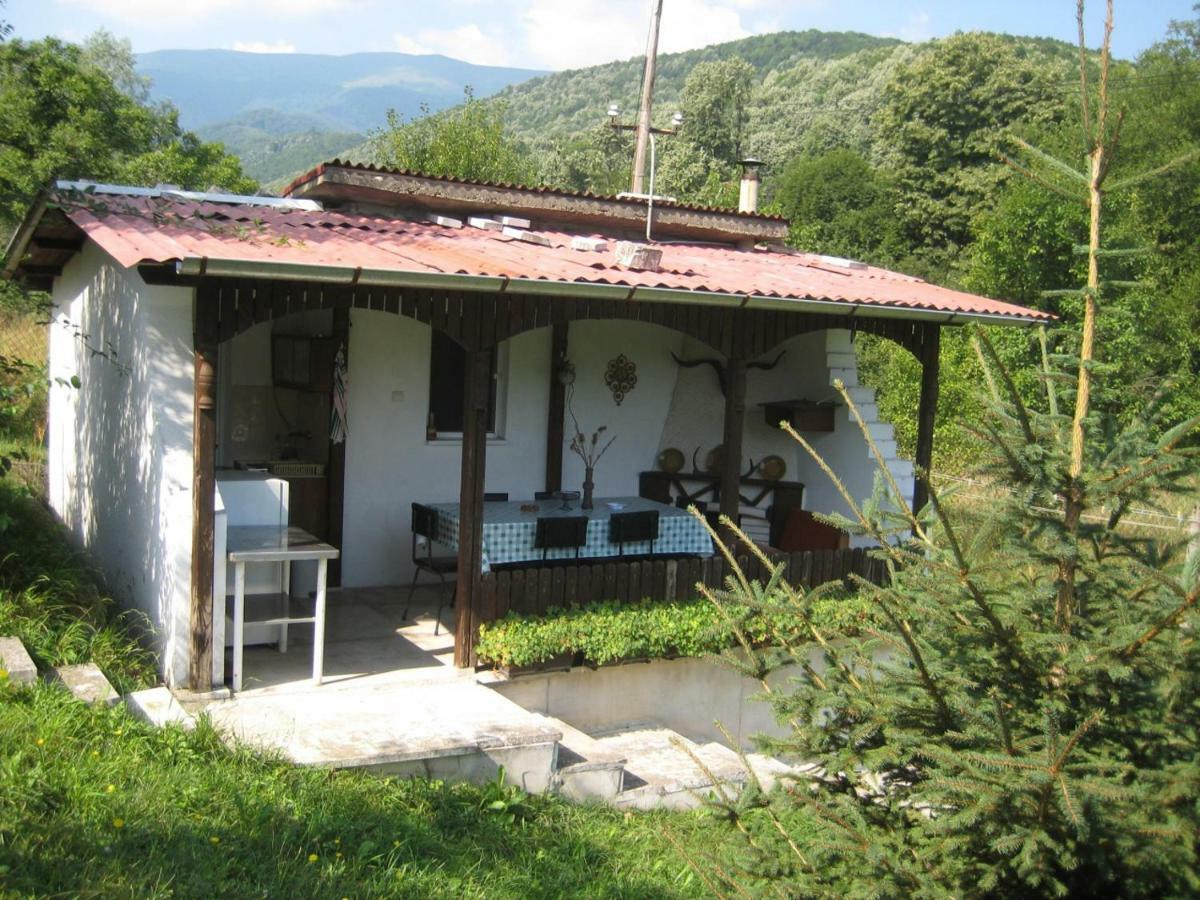 Bungalows Zdravets Berkovitsa Ngoại thất bức ảnh